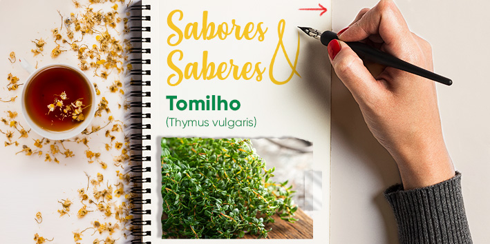 Sabores e saberes - Tomilho 1